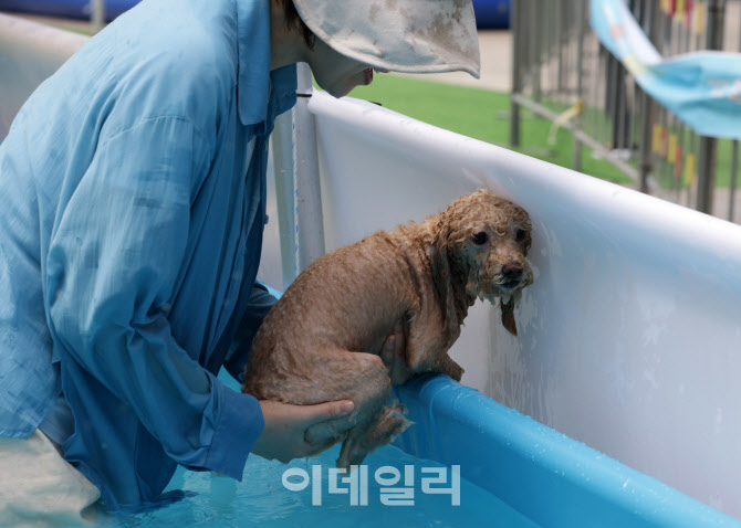 [포토]엄마 저 나가고 싶어요~