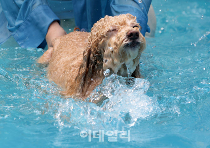 [포토]아 시원해