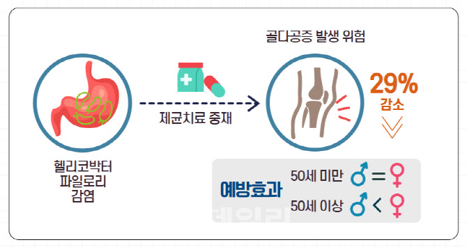 50대 여성이 헬리코박터 제균 꼭 해야 하는 이유