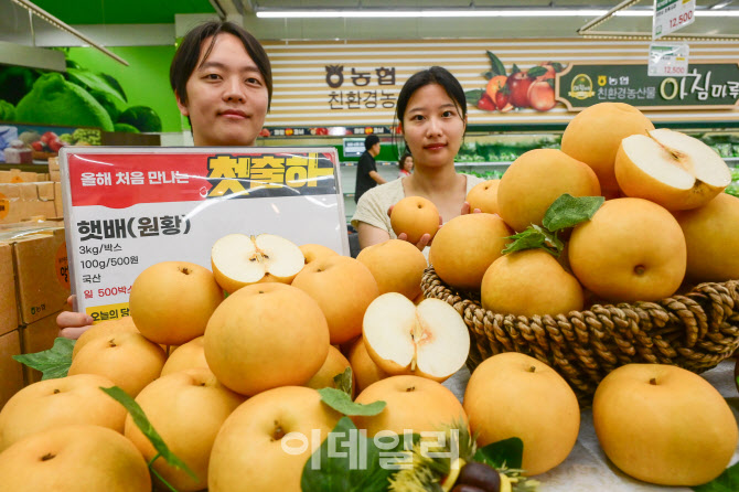 [포토] 농협유통, 원황 품종 햇 배 출시