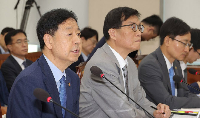 “코스피 PBR 10배?”…구윤철 부총리 발언에 투자자 분노