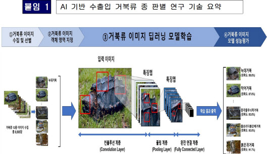 불법 밀반입 막는다…AI 기술로 거북류 13종 판별