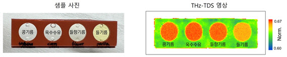 전자기파로 식용기름의 오메가3 지방산 함유량 간단히 측정