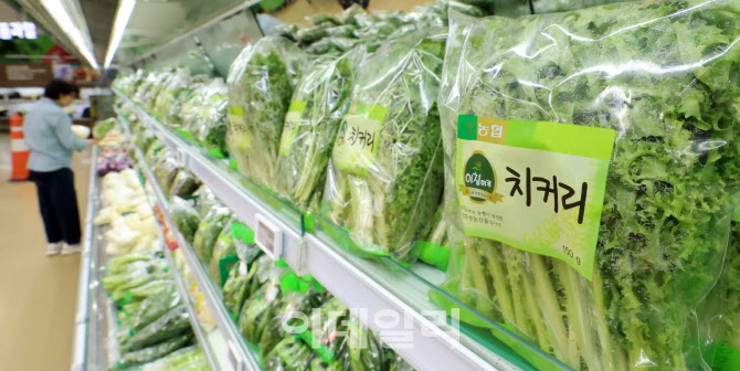 [포토]농수산품 생산자물가 23개월來 최대 상승