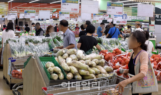 [포토]농축산물 가격 급등에 생산자물가 두 달 연속 상승