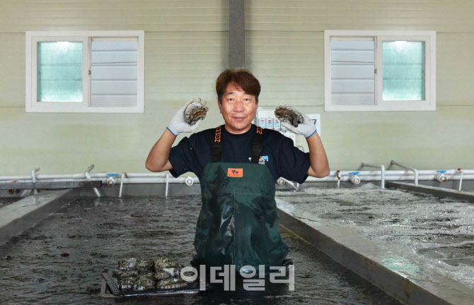 "로켓 덕에 매출 쑥"…쿠팡, 인구 감소 섬지역 판로 확대