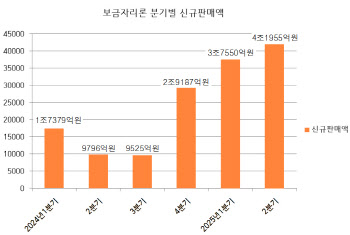 23조서 17.5조로 낮췄지만…보금자리론 여전히 가계부채 ‘딜레마