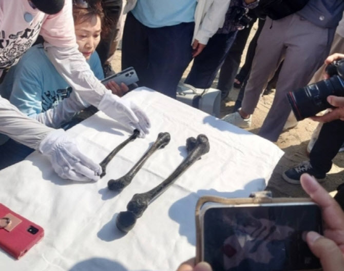 80년만에 발견된 인골..'조선인 136명 사망' 일 해저탄광서 수습