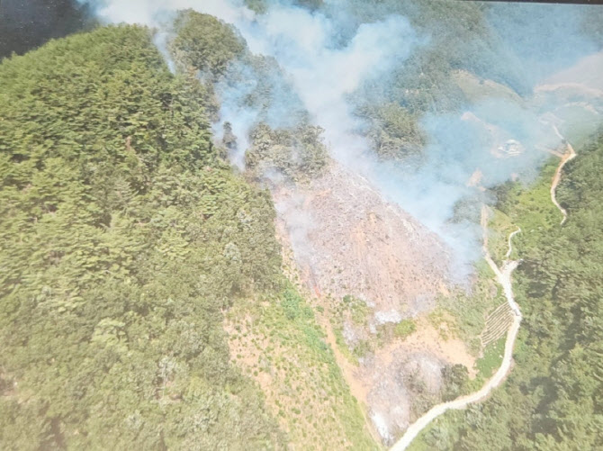 말벌 잡으려다 백두대간 태울 뻔? 삼척 산불 6시간여 만에 진화