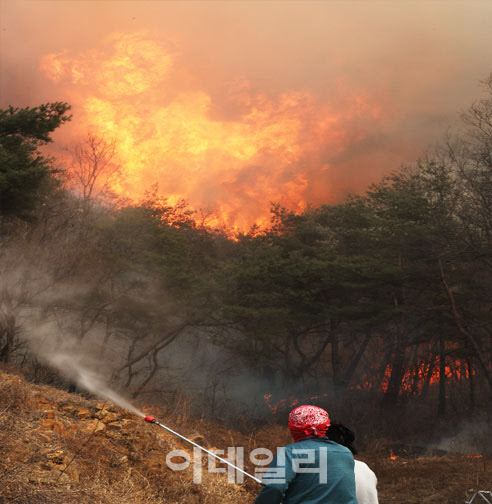 '경북 대형 산불' 실화 혐의 2명 첫 재판, 11월에 열린다