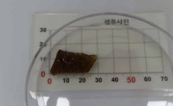 "섭취 말고 반품하라"…3cm 유리조각 나온 고추장굴비 판매 중단