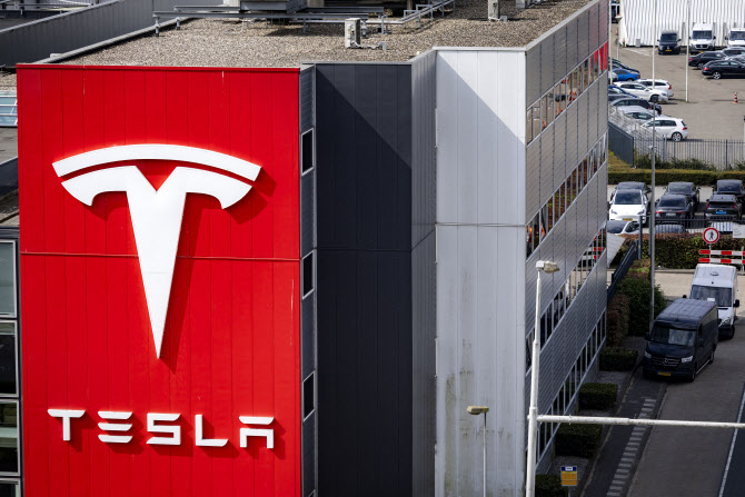 한국인 '테슬라 사랑' 흔들렸다…대신 눈 돌린 곳은