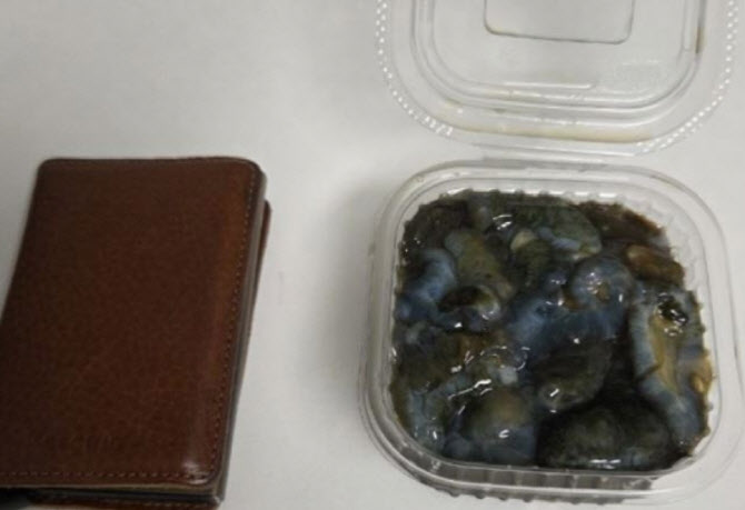 해삼 한 접시 7만원?…'바가지 논란' 횟집, 과태료 60만원