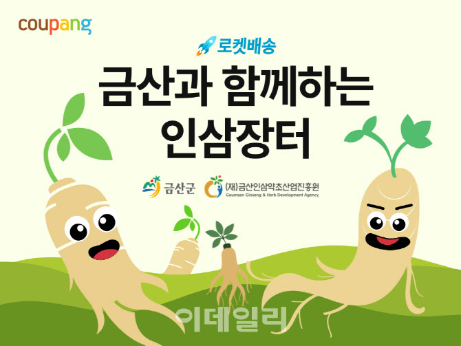 "수삼·액기스 할인"…쿠팡, ‘금산 인삼 기획전’ 개최