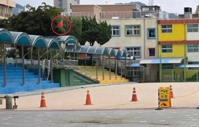 "여기가 중국이냐?"...오성홍기 내건 서울 초등학교 해명 보니
