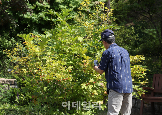 [포토] 이어지는 한낮 폭염