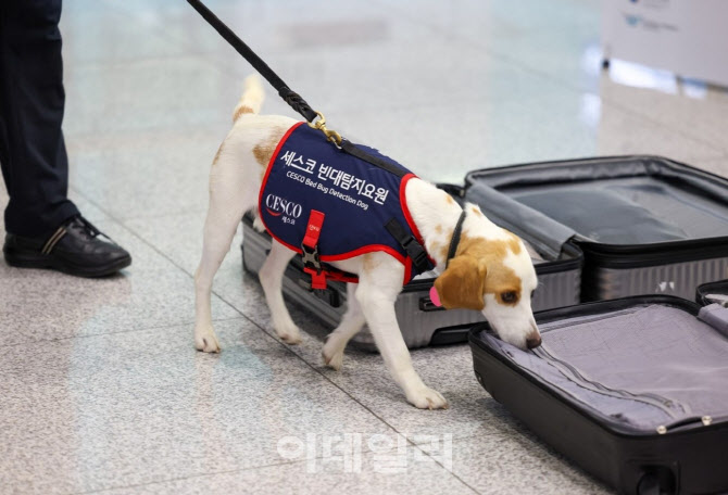 기후변화로 해충 방제도 과학기술 접목