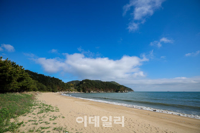 바비큐 파티에 축구 입중계까지…섬 야영장서 이색 캠핑