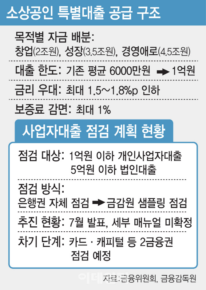 '작업대출' 표적 될라…'10조 소상공인 자금' 단속 빈틈 우려