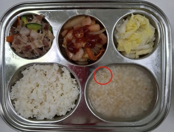 애들 먹는 음식에 유충 ‘둥둥’…평택 어린이집 급식에 ‘발칵’
