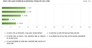 경제학자들 "가장 시급히 추진해야 할 AI 정책 분야는…"