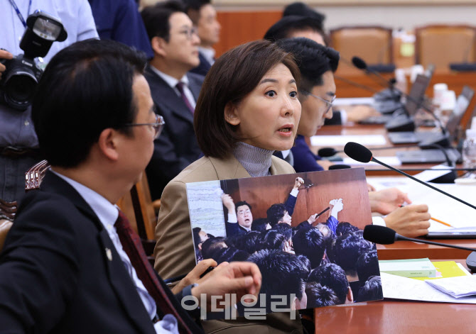 법사위 또 아수라장…나경원 간사 선임 '부결'