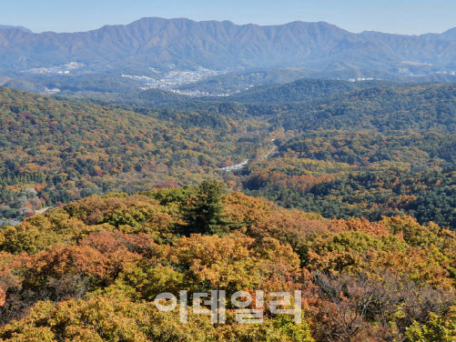 한반도 최고(最古)의 숲, 생물다양성의 '보물'이 되다