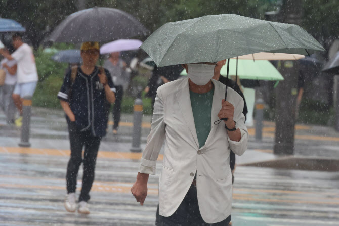 어제 이어 오늘도 단비...강릉 최대 40mm 비 내린다[오늘날씨]