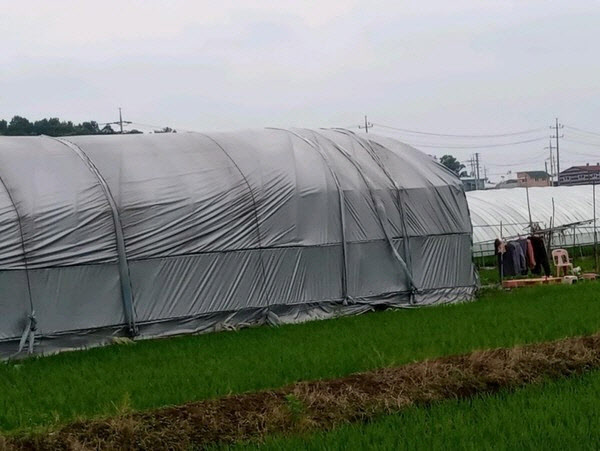 '포천 비닐하우스 사망' 2심 승소…法 "정부, 각 1000만원 배상"