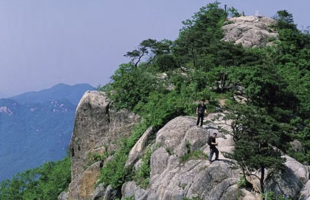 "돌에 깔렸다" 신고한 60대 등산객…문경 황장산서 숨진 채 발견