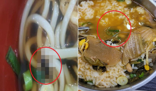곧 추석인데…“우동 안에 귀뚜라미” 휴게소 위생 ‘비상’