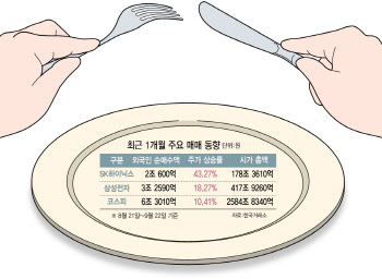 "코스피 수익률 반토막 났다"…삼전·하이닉스 뺀 결과