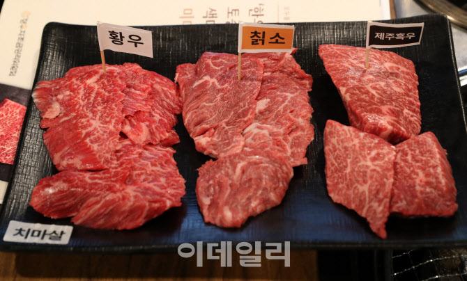 [포토] 토종 한우 치마살