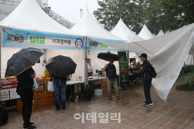 [포토] 서울광장 '추석맞이 서로장터'