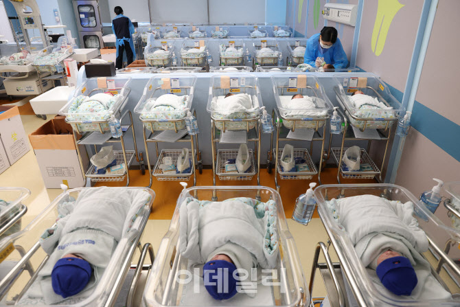 [포토]출생아 수 역대 최고 증가율