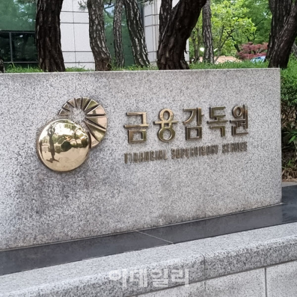 금감원, 사모운용사에 "내부통제 점검하고 책무구조도에 반영해야"