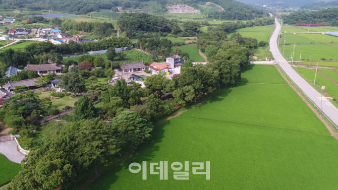 주민이 지켜온 '고창 하고리 삼태마을숲' 천연기념물 됐다