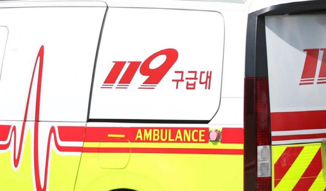 아파트 13층서 추락한 4살 아기…나무에 걸려 목숨 건져