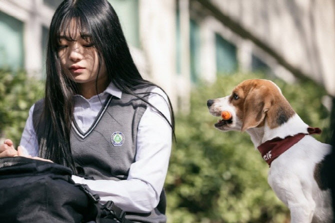 “감정 최고조일 때, 다 들어줄게” 도심에 SOS마음의전화 생긴다