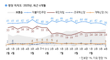 국힘 지지율 3개월째 20%대 제자리 걸음…이유는?