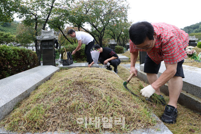 [포토]추석 앞두고 제초작업