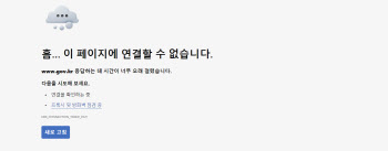 정부24 마비에 네이버·다음서 긴급 공지…민관 플랫폼 협력 부각