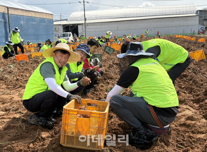 [포토] 농협 농업농촌지원본부, 농가 일손돕기 봉사활동