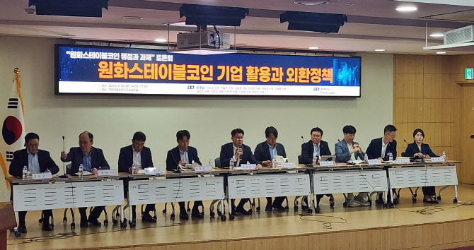 "원화 스테이블 인플레 우려는 시기상조, 제도적 기반 보완 필요”