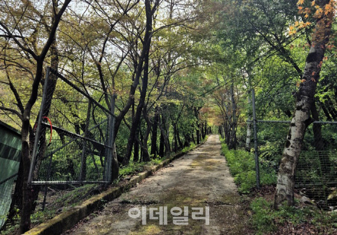 동두천 소요산 야영장 부지 '숲 힐링공간'으로 재탄생