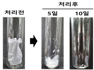 생분해성 플라스틱 분해시간 15배 이상 단축 미생물 발견