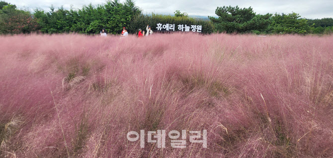 [포토]설레는 가을