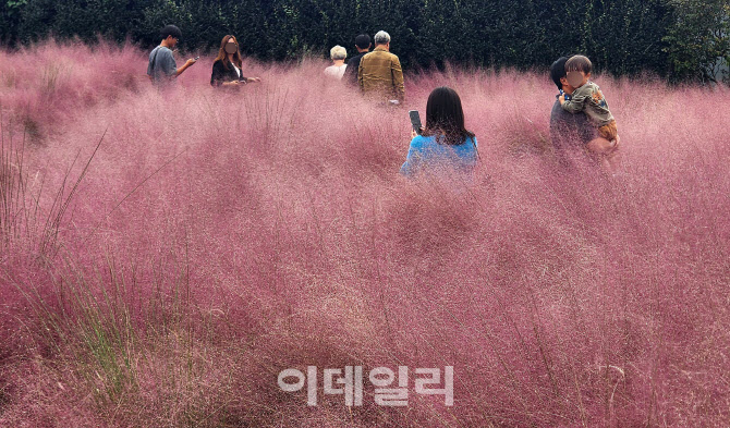 [포토]설레는 가을 속으로