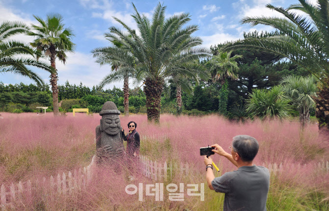 [포토]제주의 가을
