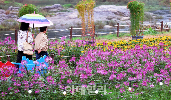 [포토] 평창 꽃동산 산책